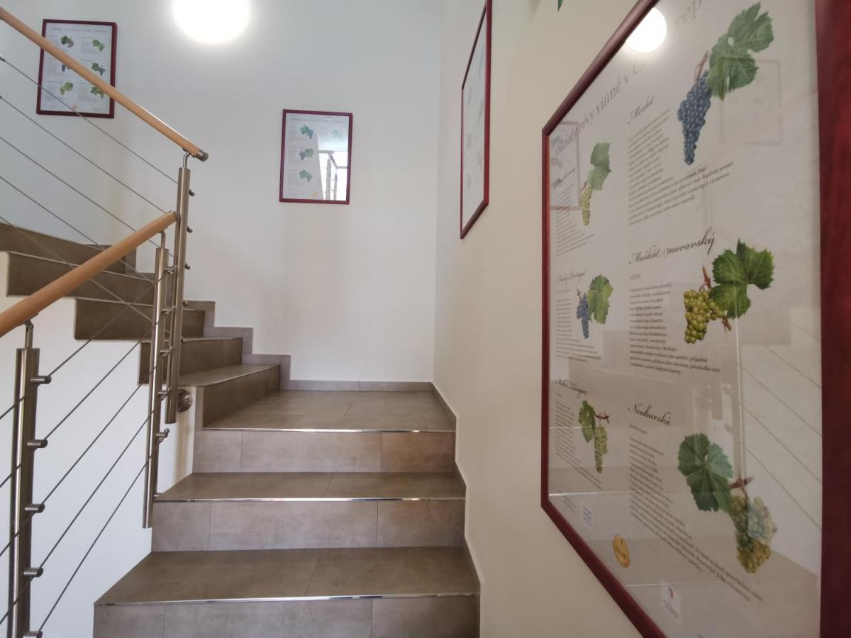Comenius Moravus Vinarsky Dvur Mikulov Exterior photo
